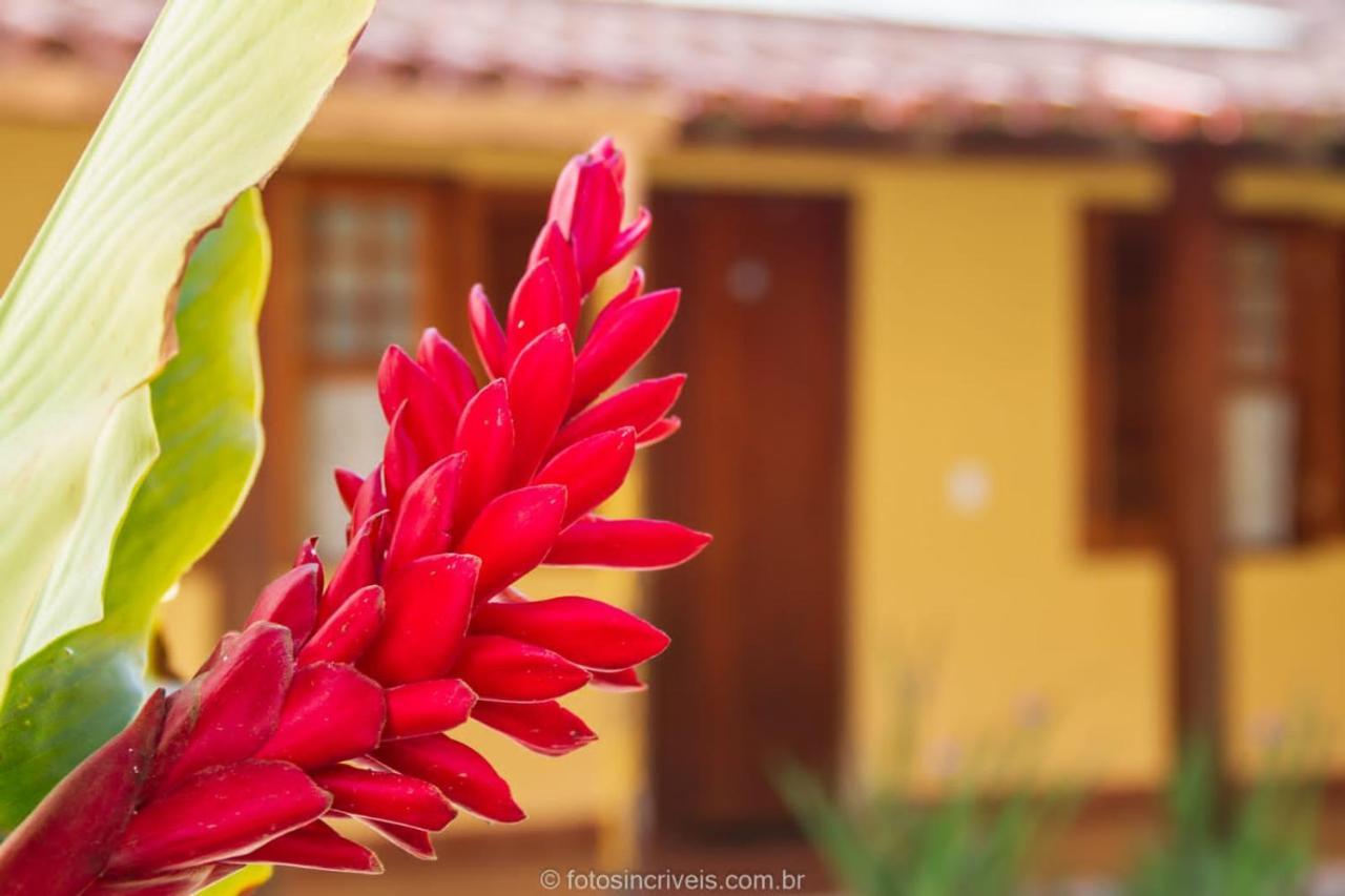 Pousada Natureza Divina Paraty Exterior photo
